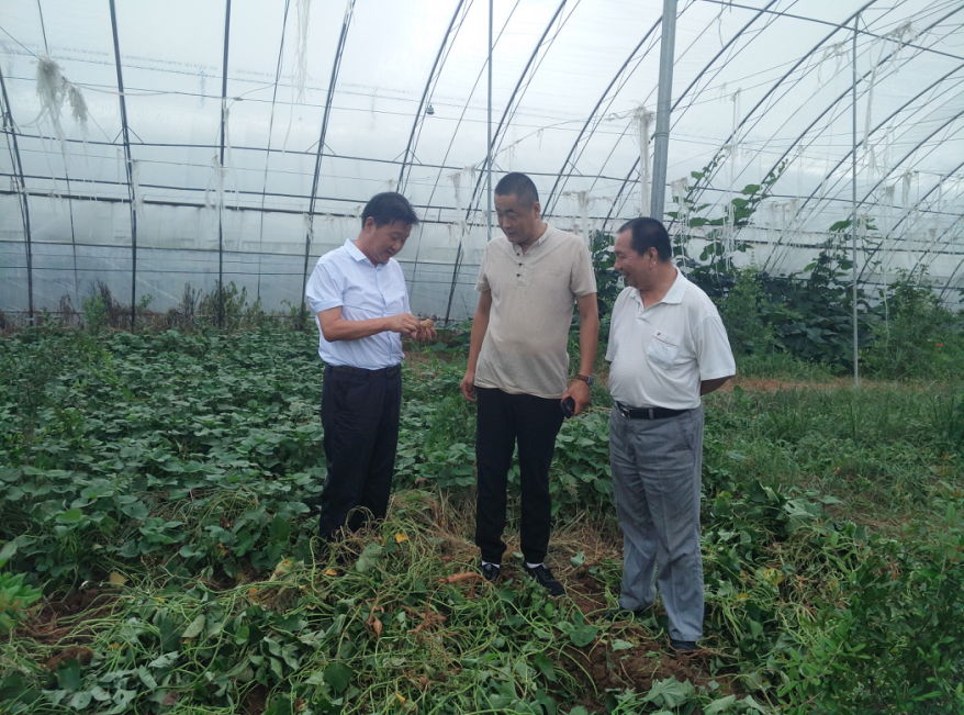 岳氏集團董事長岳平安赴博浩高效農(nóng)業(yè)示范基地